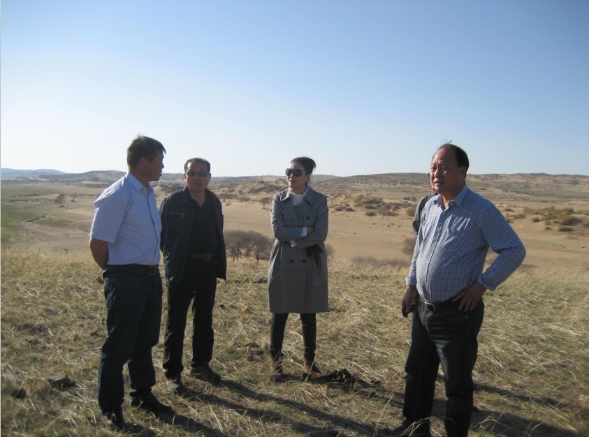 發(fā)揮資源優(yōu)勢，提高產(chǎn)業(yè)鏈競爭力——協(xié)會為企業(yè)間的合作搭建平臺