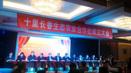 走過十里長川，拉開“十里長香”品牌的序幕