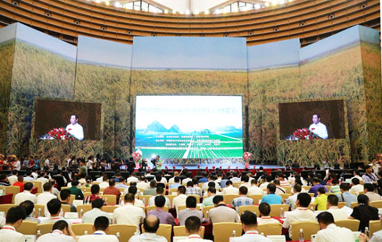 內(nèi)蒙古龍頭企業(yè)協(xié)會應邀出席廣西農(nóng)業(yè)項目合作洽談暨科技成果展示對接會