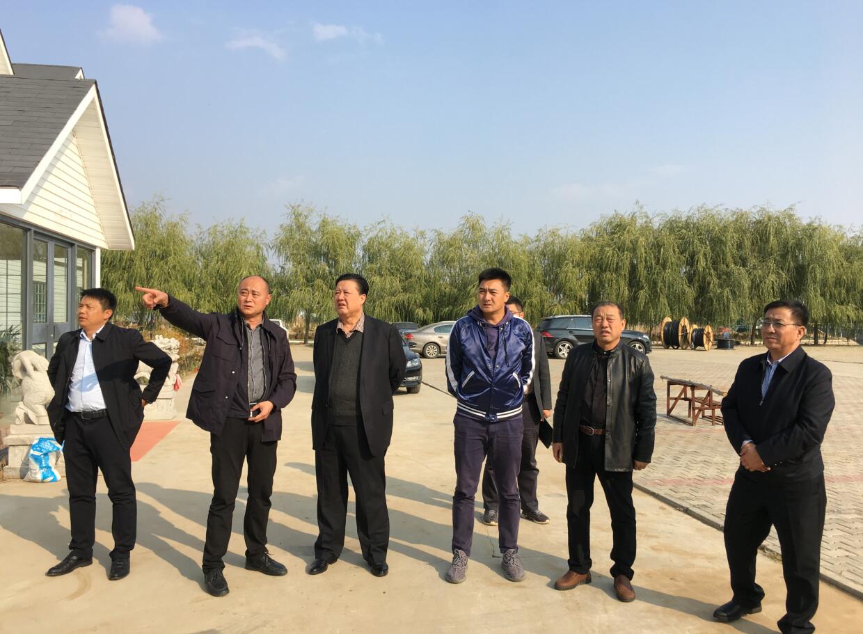 信息對接，充分發(fā)揮協(xié)會服務(wù)引領(lǐng)作用