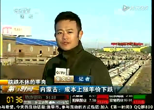 央視財(cái)經(jīng)頻道報(bào)道---跌跌不休的羊肉