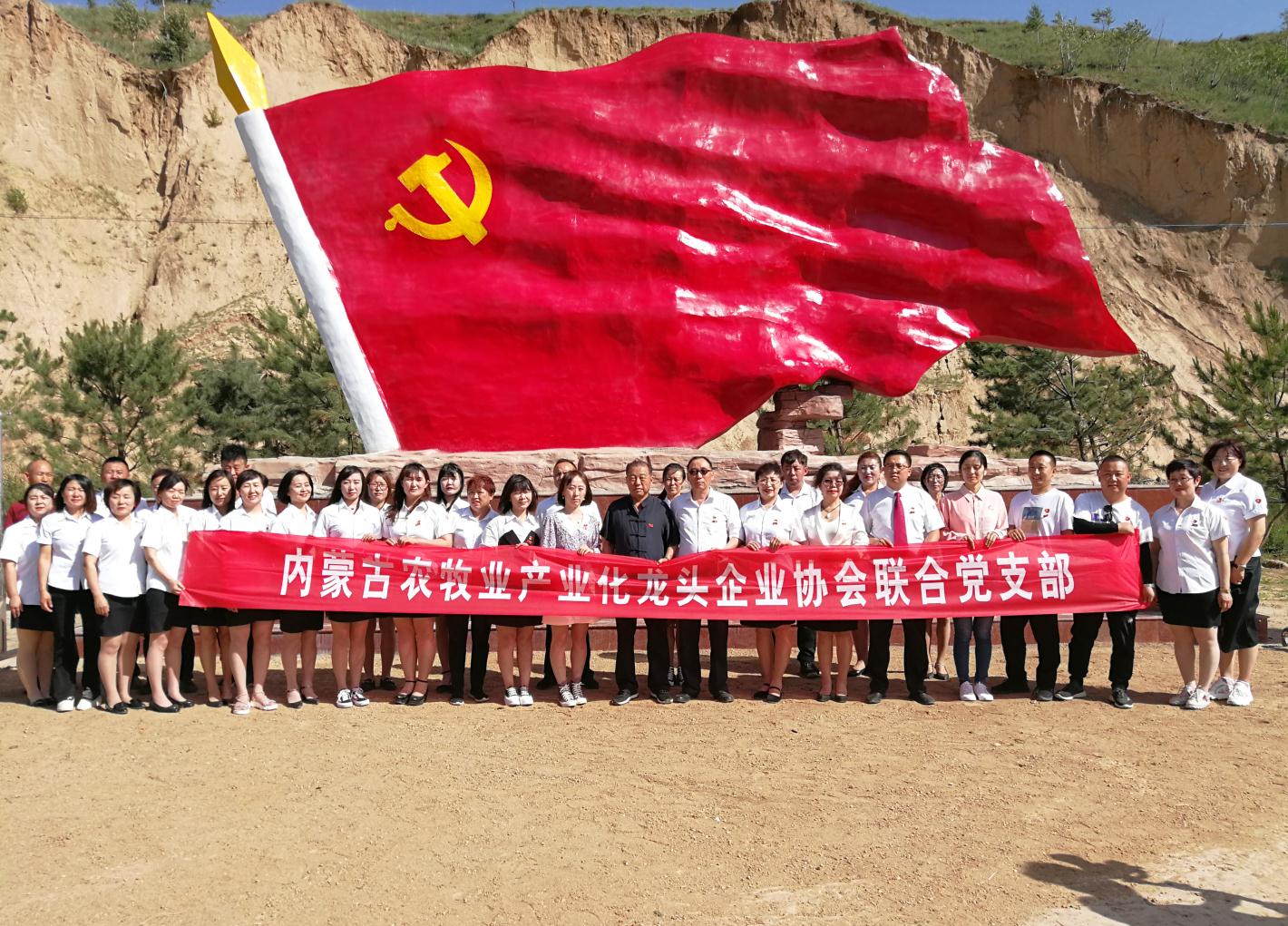 內(nèi)蒙古農(nóng)牧業(yè)產(chǎn)業(yè)化龍頭企業(yè)協(xié)會走進石人灣村開展“辦實事、解難題，送溫暖，傳黨恩”公益活動